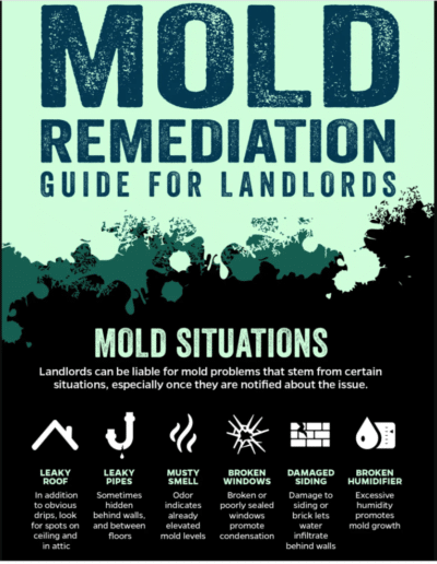 Mold In Rental House In Maryland: Landlord Responsibilities | MoldGone.net